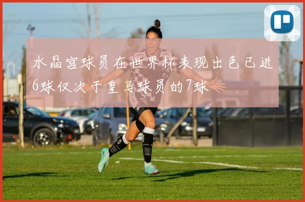 水晶宫球员在世界杯表现出色已进6球仅次于皇马球员的7球